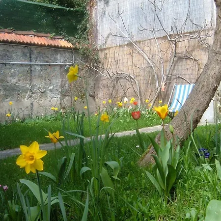 Le Jardin De Cécile Et Benoit - Bed & Breakfast