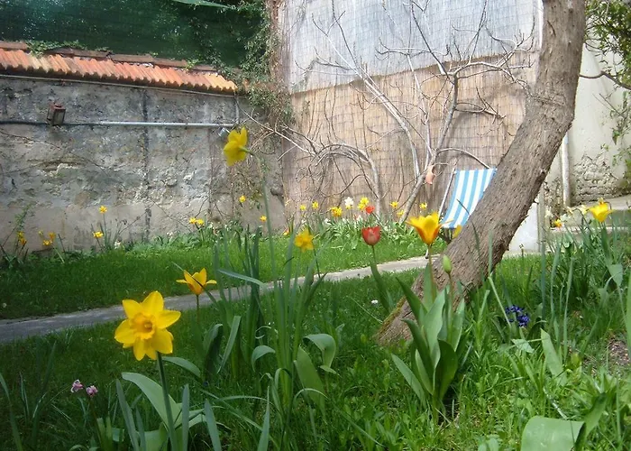 Le Jardin De Cecile Et Benoit - Alojamento de Acomodação e Pequeno-almoço